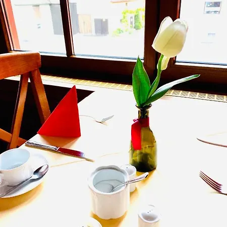 加斯霍夫林斯奈尔酒店 3* Wachenroth